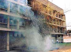 Smoke fills up the air near the Punjab Agricultural University library as sweepers burn dry leaves on the campus