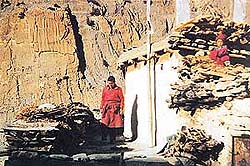 Most houses in Mustang are flat-roofed, mud-brick structures --- Photo by the writer