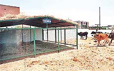A vermicomposting unit installed jointly by the UT Administration