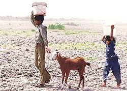 A young boy walks with his sister to fetch water in Panchkula which is in the grip of water scarcity. Temperature is daily hovering around 40C in the North.