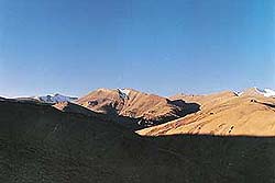 Shrinking of the forest cover has led to erosion