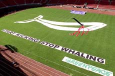 Greenpeace activists from Austria and Germany lay out a giant whale symbol