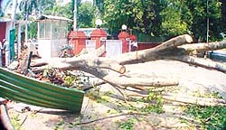The scene at Vice-Presidents house in New Delhi.