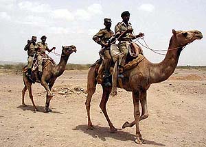 BSF jawans patrol the desert area