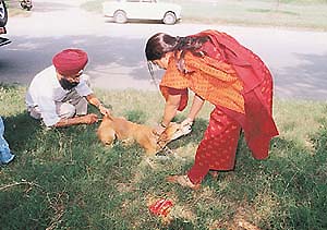 pix Pravesh Chauhan