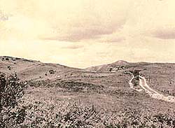 Egdon Heath