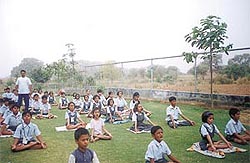 Tiny-tots adopt yogic postures