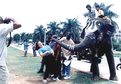 Jamaican tourists receive blessings from an elephant 