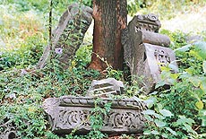 Wild growth and algae engulf most of the stone excavations at Bhima Devi temple