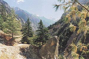 The scenery on way to Gaumukh is breathtaking
