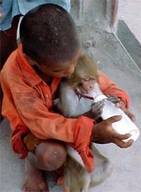 BABY SITTER