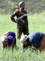 Women work in their field as a jawan patrols near