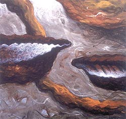 The floating cowries
