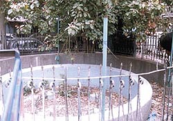 A defunct fountain that has turned into a garbage dump