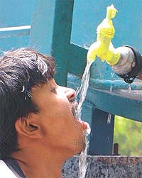 ELIXIR OF LIFE