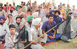 Employees of Dayanand Medical College and Hospital observe a black day outside the hospital premises in Ludhiana on Wednesday.