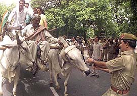 A policeman pulls the bullock-cart