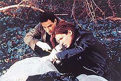 In Murder by Numbers, Sandra Bullock plays a seasoned private eye