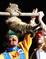 A cat traverses a pole using its front legs as Dmitri Kuklachev (left) and a clown watch during a cat theatre performance in Tokyo on Tuesday