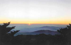 Striking spectacle: The "ball of fire" rising majestically from behind the Darjeeling hills