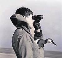 No special training is required to become a bird-watcher
