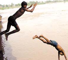 COOL PLUNGE