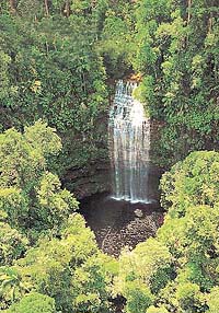 A natural waterfall deep in the rainforest