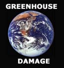 GREENHOUSE DAMAGE