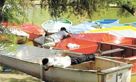 In the same boat