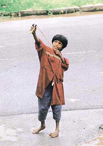 pix Pradeep Tewari