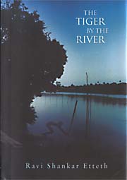 The Tiger by the River