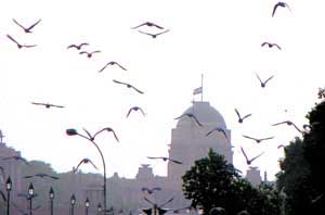Birds-eye view