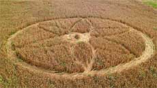 A mysterious crop circle has appeared in London's Kew gardens