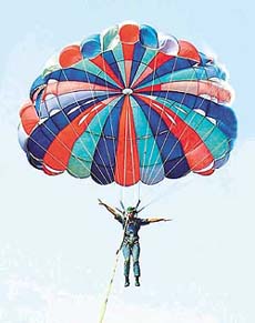 FLYING HIGH: 