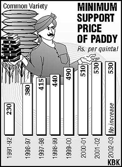 Minimum support price of paddy