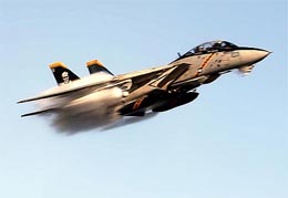 A US Navy F-14 Tomcat
