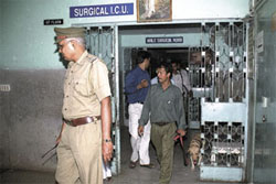 The bomb disposal squad with sniffer dogs at St Stephen’s Hospital