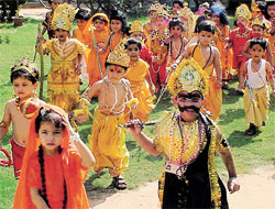 DONT CALL THEM VAANAR SENA