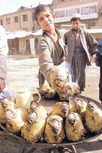 An Afghani delicacy: Goat heads!