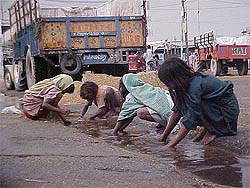 Children collect paddy from the waste