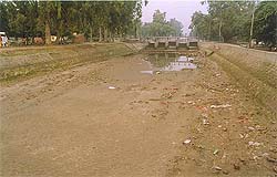 The dry silt-laden bed of the Bathinda canal