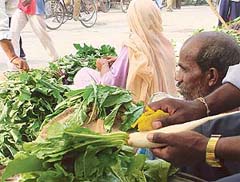 Soaped radish