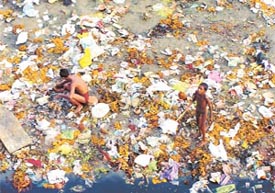 Scavengers sifting through pooja accessories discarded by devotees on the bank of the Yamuna