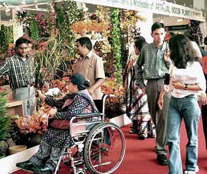 A handicapped lady visits a stall selling artificial flowers