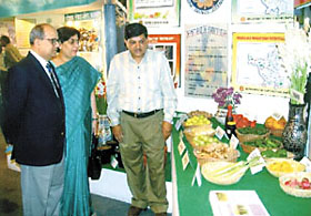 Haryana Chief Secretary A.N. Mathur at Haryana Pavilion in Pragati Maidan 
