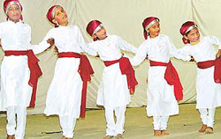 Students perform at a cultural programme held in St. Stephens School
