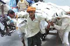 LOAD OF LIFE