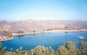A view of the Ranthambhore forest from the fort