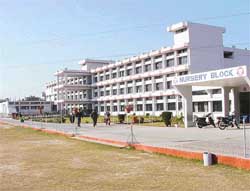 A view of the BVM school