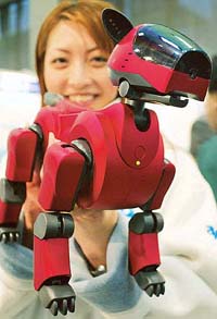 A Sony promoter shows the new limited edition Aibo entertainment robot during a demonstration in Tokyo. The limited Aibo robots in two colours, Burgundy red and Snow white, are on sale currently.
